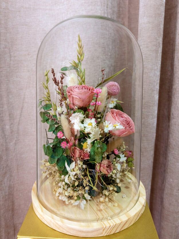 cupula-rosas